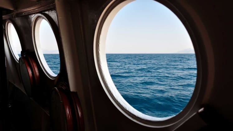 Would A Fox Steal A Shoe