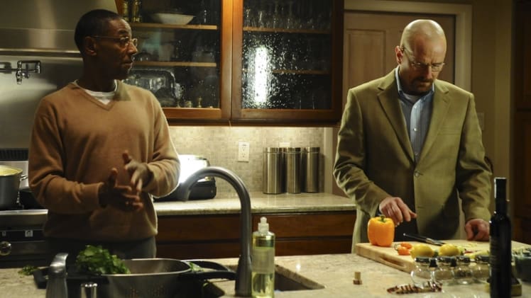 Does Gustavo Fring Have A Family