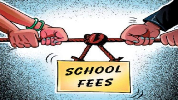 How Has The Government Contributed To School Fees