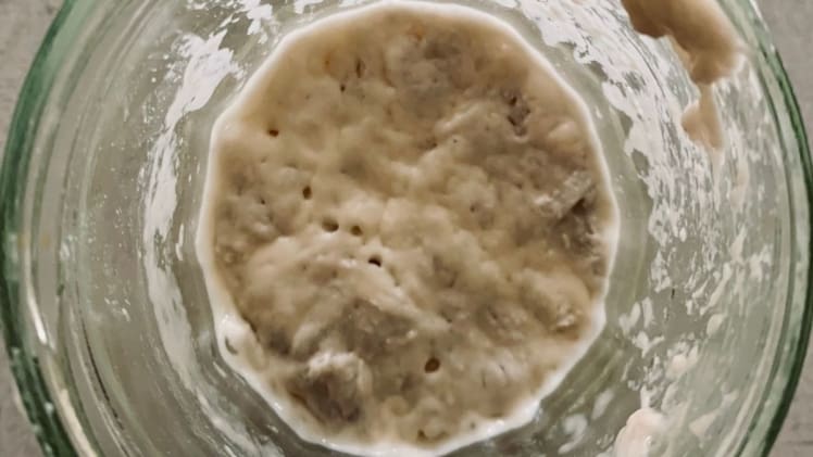 Can Sourdough Make You Sick