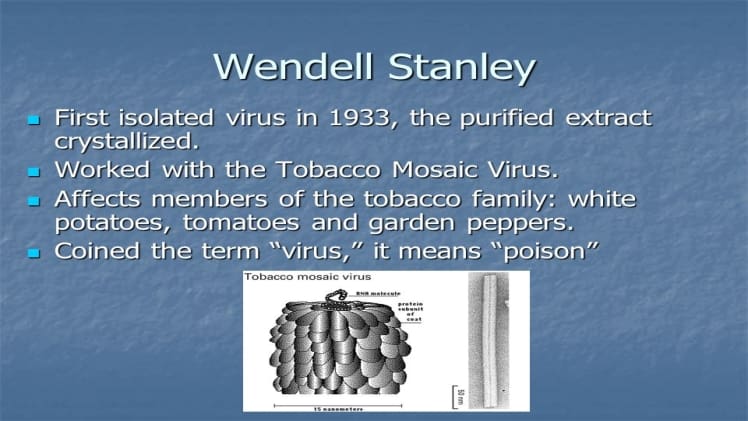 Who Crystallized The Virus