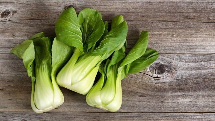 Can Bearded Dragons Eat Bok Choy