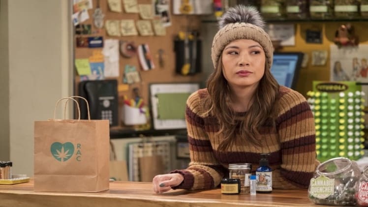 Did Disjointed Get Renewed For Season 3