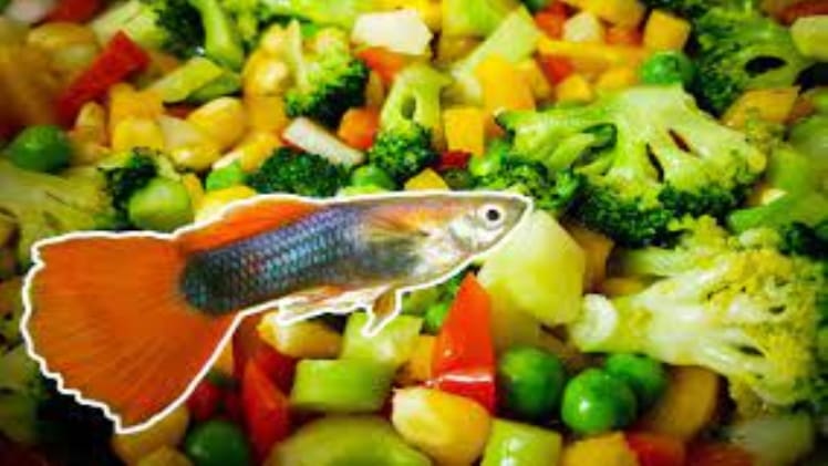 Can I Make Fish Meal At Home