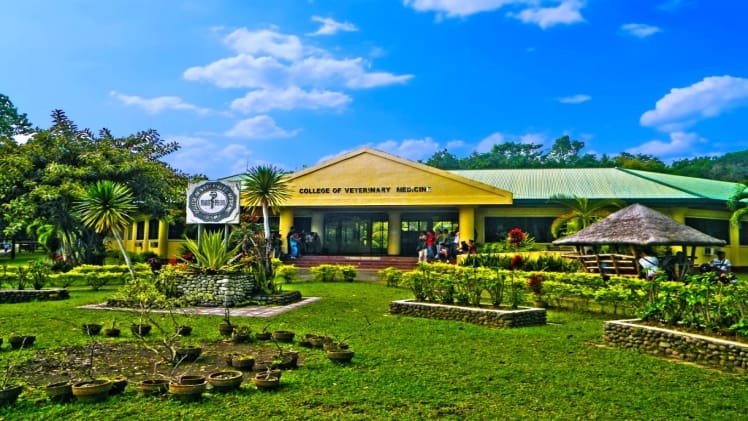 How Much Is The Tuition Fee In University Of Mindanao