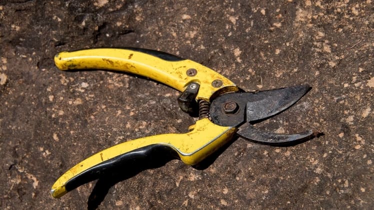 What Is Secateurs In Agriculture