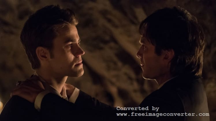 When Stefan Dies In Vampire Diaries