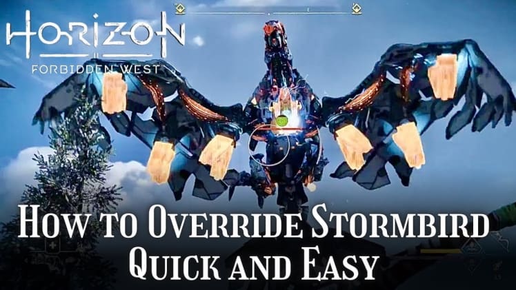 Can You Ride Stormbird Horizon