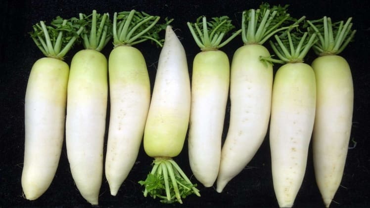 Are Daikon Radishes Spicy