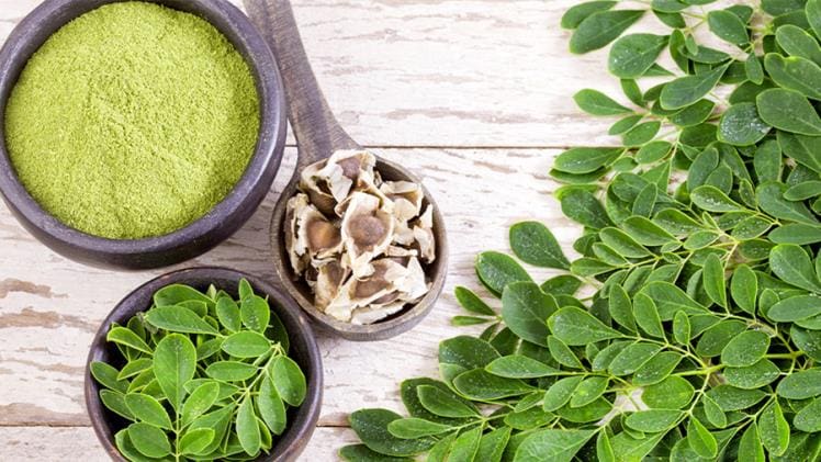 Should You Take Moringa In The Morning Or At Night