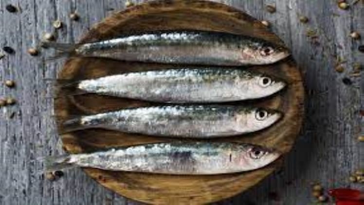 Has Sardine Got Iron
