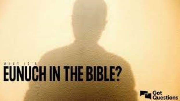 Does Bible Support Eunuch