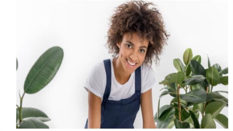 Clean Sweep of the Future: Trends and Prospects in Part-time Cleaning Services